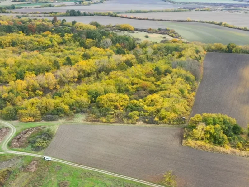 HEROIC FEAT IN BANAT! Citizens bought a forest from the state to preserve it – Slavujev Lug, the first reserve purchased through donations!
