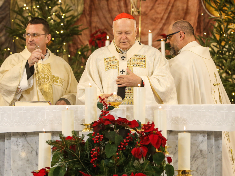 CHRISTMAS MESSAGE OF CARDINAL NEMET: Diversity in our society should not lead to deep divisions!