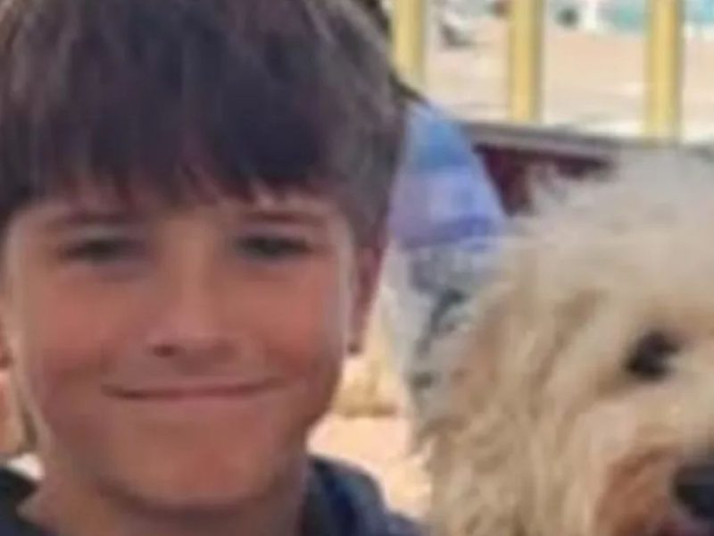“HE IS STILL ASLEEP, THE BRAIN IS NOT RESPONDING”: New details on the condition of little Niko Antić (12), who was attacked by a shark in Sydney