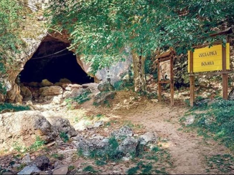 MAJOR DISCOVERY IN SERBIA: A New Species Found in a Cave Near Sokobanja, Named After Batman!