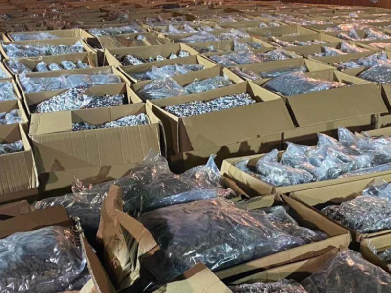 LARGEST DRUG SEIZURE IN SERBIA: Police Find 5 Tons of Marijuana in Village Near Kruševac (VIDEO)