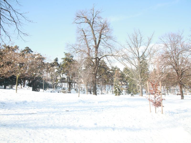 IN SERBIA LIKE IN SIBERIA: We Will Freeze in the Icy Košava Wind – Here’s When the Extreme Cold Begins!