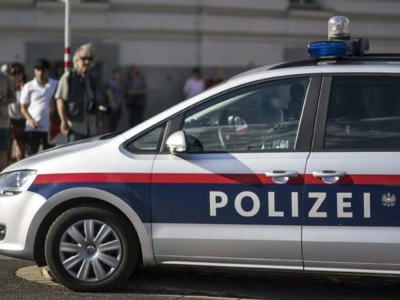BLOODBATH AVERTED: Serbs Armed with Clubs Waited for Croatian Fans on Austrian Highway, Police Drove Them Off!