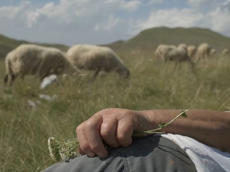GREAT SUCCESS AT THE SUNDANCE FESTIVAL: Serbian–Montenegrin film about defending a mountain from a NATO training ground sweeps the jury! (VIDEO)