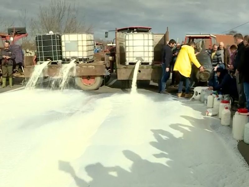 IBAR HIGHWAY BLOCKED: Mass protest of milk producers, tons of milk spilled! (VIDEO)