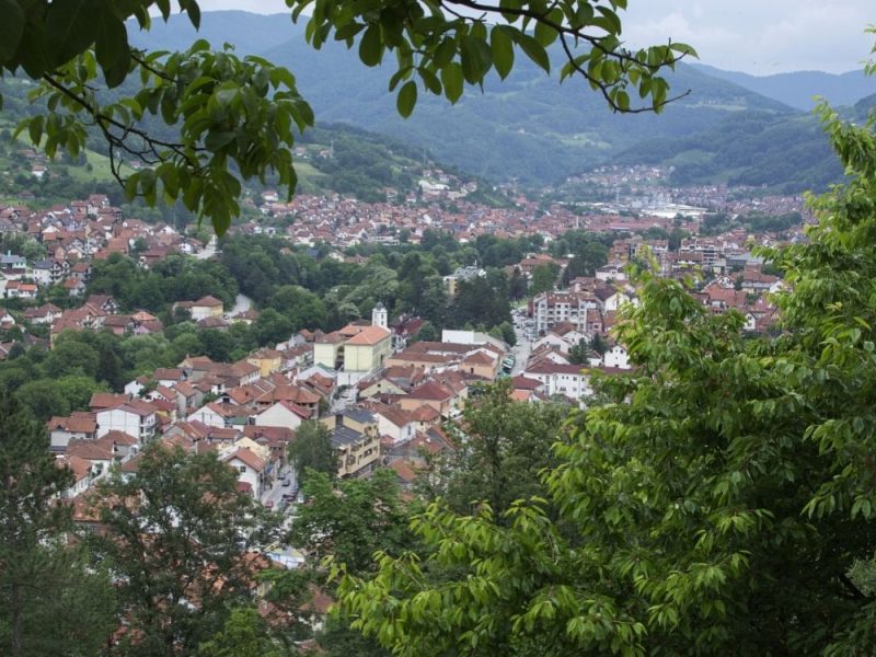 HORROR IN IVANJICA: Dangerous poison scattered on the streets, several dogs died, human health also endangered!