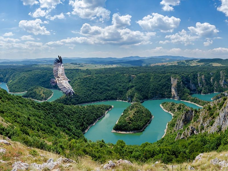 THE RETURN OF THE DIASPORA TO SERBIA IS APPROACHING: Here is how to spend an unforgettable vacation in the fatherland!