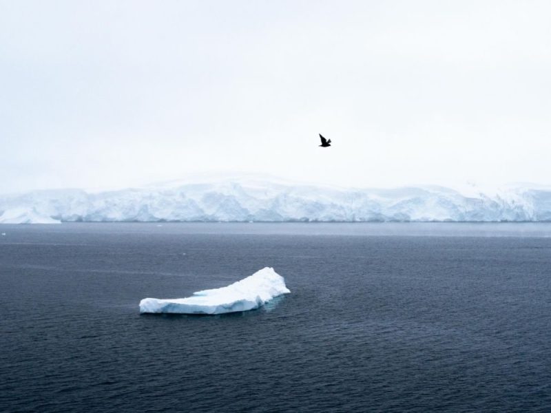 PROJECT PRESENTED IN RUSSIA: Serbia plans the “Milutin Milanković” polar station in Antarctica by 2033!