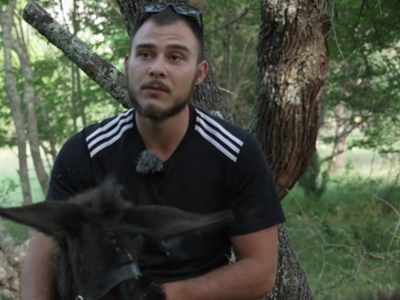“IN SERBIA I HAD EVERYTHING, BUT HERE I AM THE HAPPIEST”: Nikola (26) left Belgrade and returned to his grandfather’s land in Dalmatia! (VIDEO)