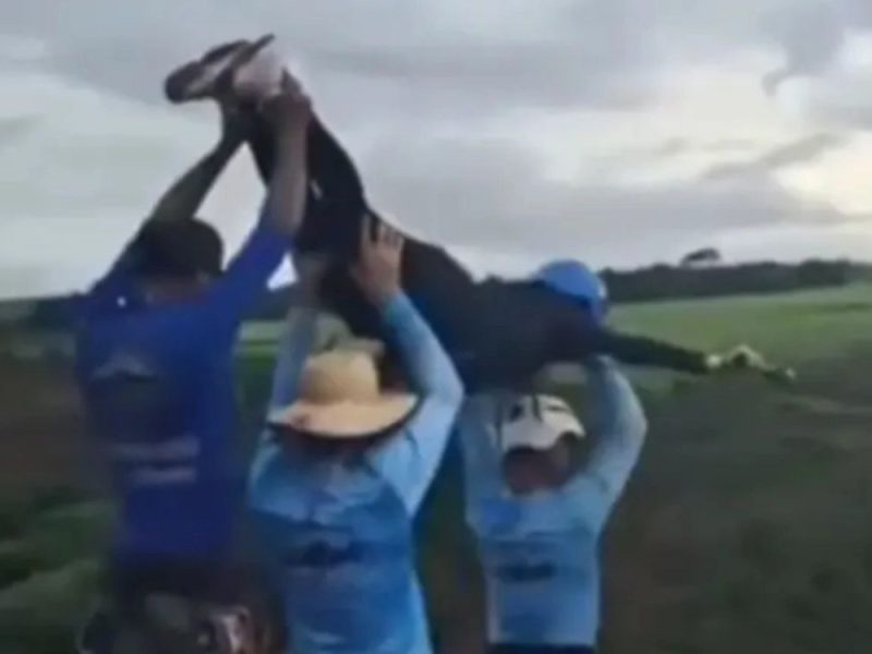 TRAGEDY IN BRAZIL: Student Jumps to Her Death During Bungee Jump, Guides Threw Her From a 40-Meter Cliff Without Any Safety Equipment! (VIDEO)
