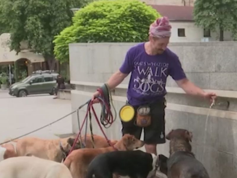 ACHIEVED HIS CHILDHOOD DREAM: Nikša left his teaching job in Vietnam, returned to Serbia, and started a business out of love for animals!