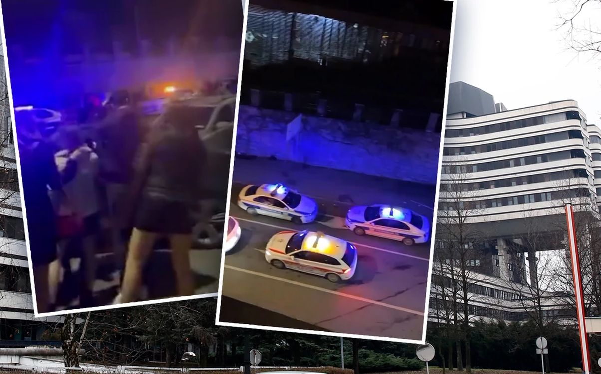 INSTAGRAM/MOJ_BEO_GRAD, VESNA LALIĆ / RINGIER