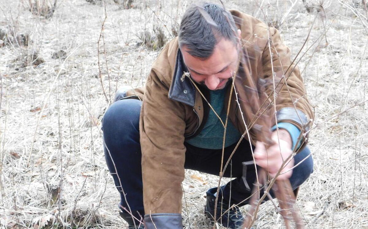 orezivanje vinove loze, Vladica Milošević iz Prokuplja / B.R. / Kurir