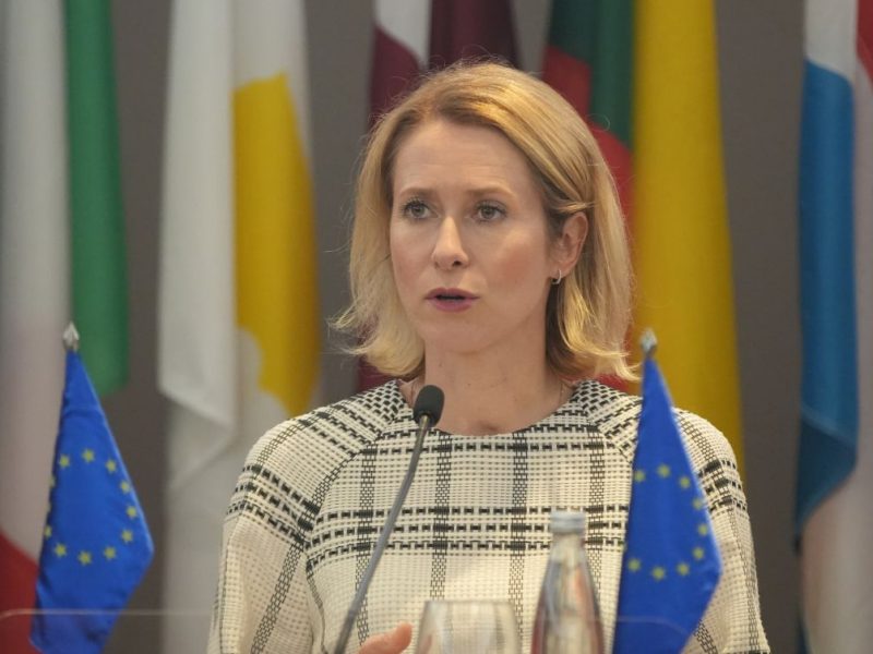 PREDSTAVNICA EU ZA SPOLJNU POLITIKU: Vodimo računa o nepredvidivosti Amerike, ne razumemo njihove poteze!