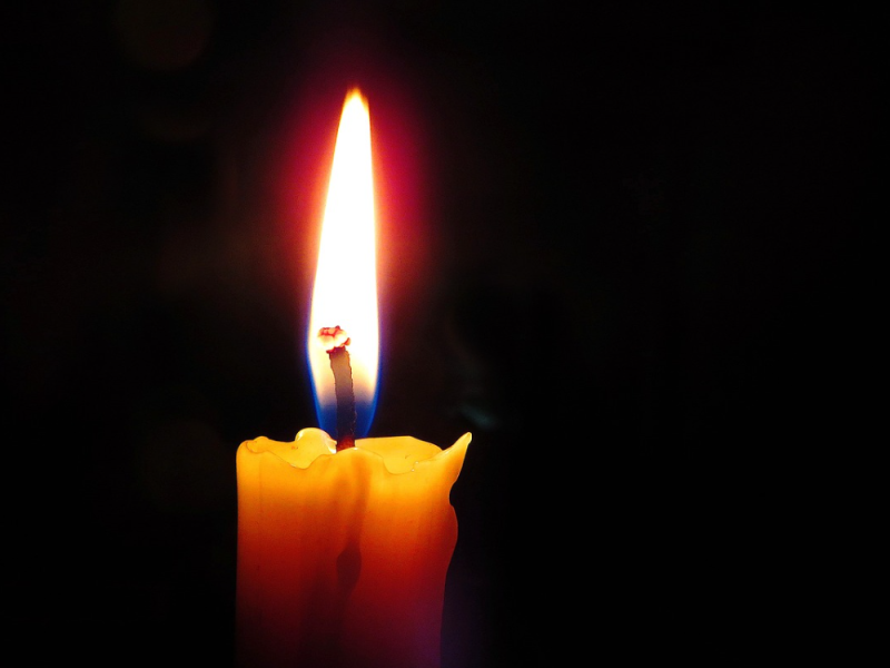 KOLUMNA, KOVAČEVIĆ: Ima li za Srbe i Balkance u Americi života van kamiona…Ako već znamo da ga u njemu nema!