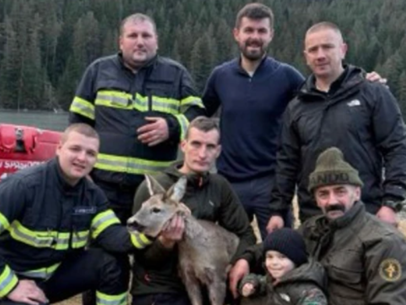 BEŽALA OD VUKOVA, PA OSTALA ZAROBLJENA NA LEDU: Borba za život srne na Durmitoru, spasena u poslednjem trenutku! (VIDEO)