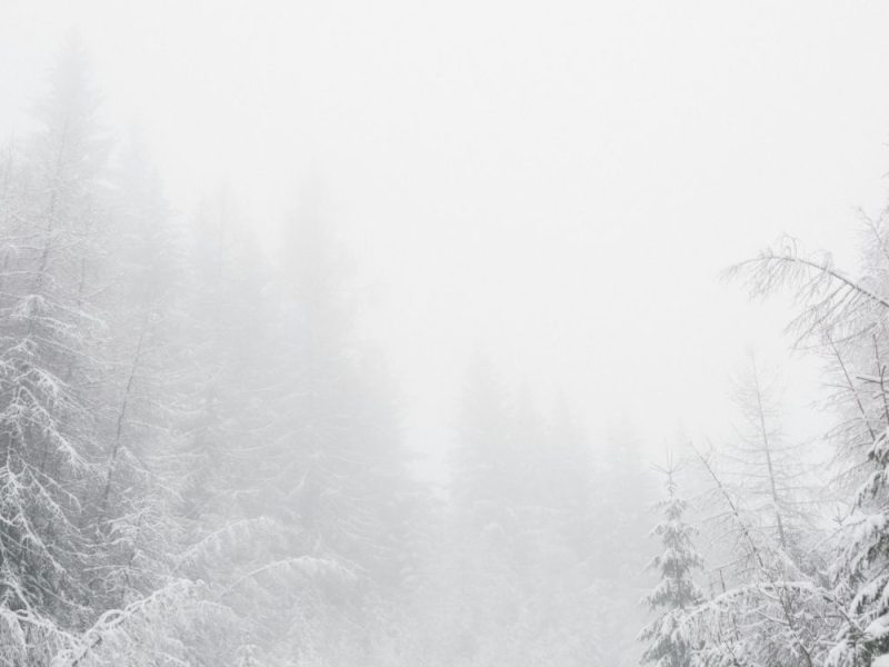 SPREČENA TRAGEDIJA U BIH: Četiri Srpkinje se izgubile u zavejanoj šumi, evo šta ih je spasilo!