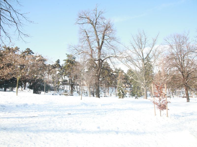 U SRBIJI KAO U SIBIRU: Smrzavaćemo se na ledenoj košavi, evo kada počinje ekstremna hladnoća!