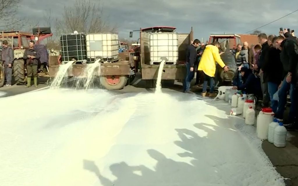 BLOKIRANA IBARSKA MAGISTRALA: Masovni protest proizvođača mleka, prosute tone mleka! (VIDEO)