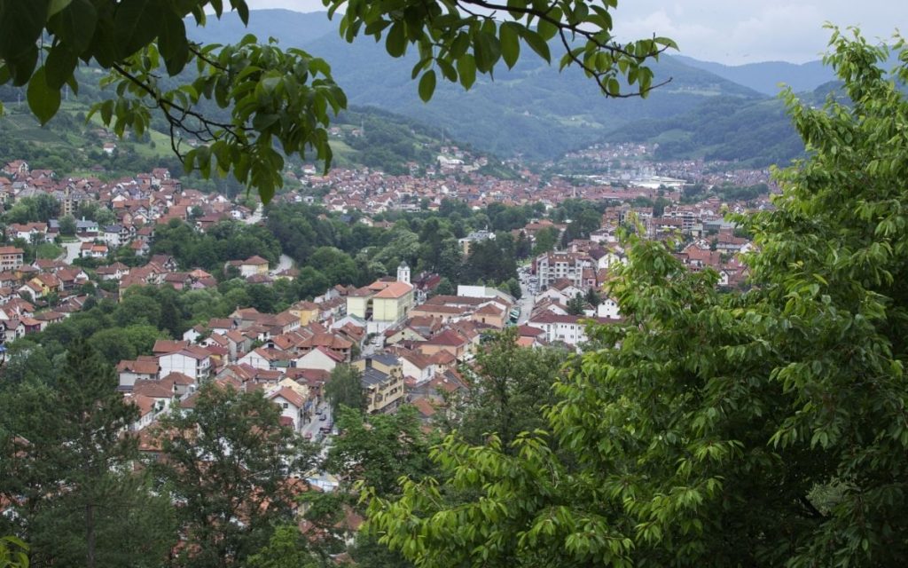 UŽAS U IVANJICI: Opasan otrov posut po ulicama, uginulo nekoliko pasa, ugroženo i zdravlje ljudi!
