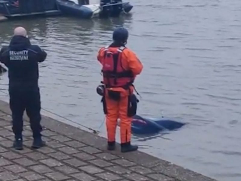 „VOZIO JE PIJAN“: Baka mladića koji je sleteo u Dunav na Adi Huji otkrila pozadinu nesreće!