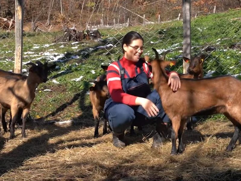 ZA ZDRAVLJE I TRADICIJU: Jovana je odlučila da ostane na selu i postane najmlađa kozarica u Srbiji! (VIDEO)