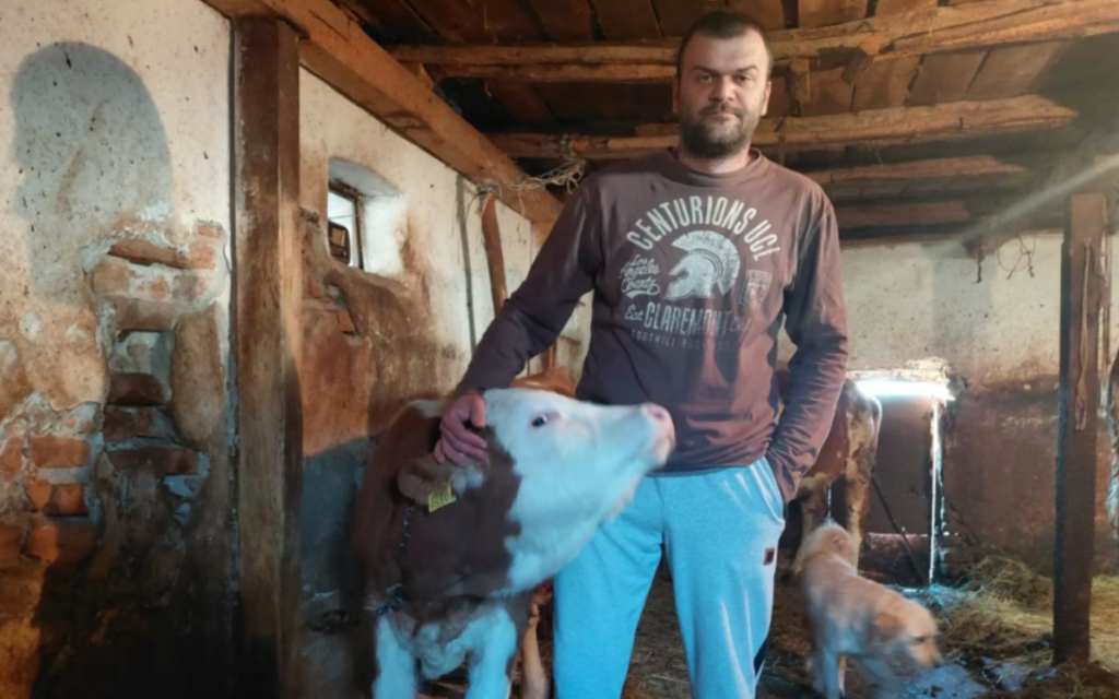 „PRETILI SU DA ĆE DA MI LOME NOGE, PRESRETALI MOJU PORODICU“: Milošu su posle učešća na protestima otkazali otkup mleka! (VIDEO)