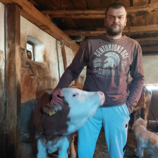 „PRETILI SU DA ĆE DA MI LOME NOGE, PRESRETALI MOJU PORODICU“: Milošu su posle učešća na protestima otkazali otkup mleka! (VIDEO)