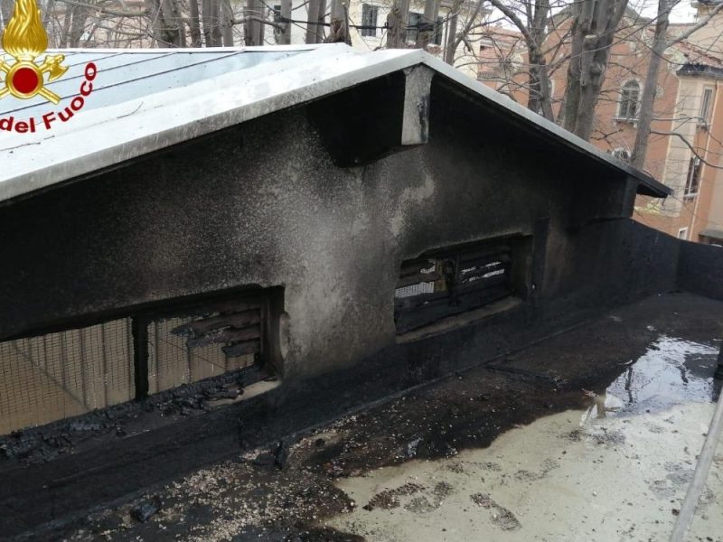 POŽAR NA BIJENALU U VENECIJI: Vatra izbila na paviljonu Srbije, vetar otežao intervenciju vatrogasaca! (VIDEO)