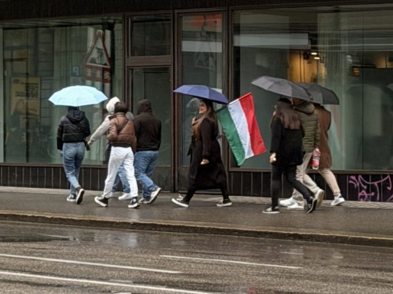 MAĐARI MASOVNO GLASAJU: Do 9 sati izlaznost 17%, pre četiri godine bila samo 10%!