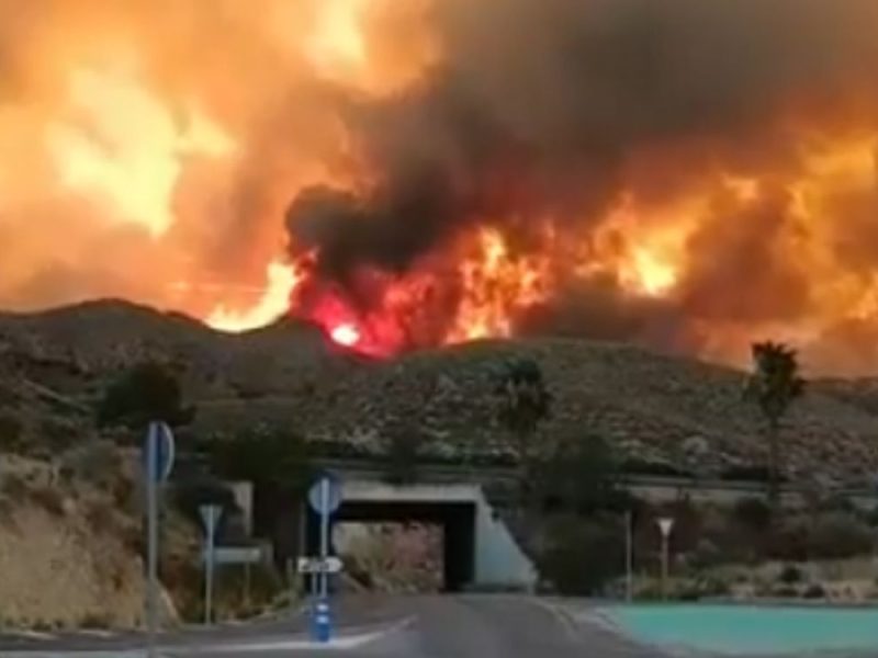 VATRENA STIHIJA ODNELA NAJMANJE 12 ŽIVOTA: Pad dalekovoda izazvao katastrofalan šumski požar u Španiji! (VIDEO)