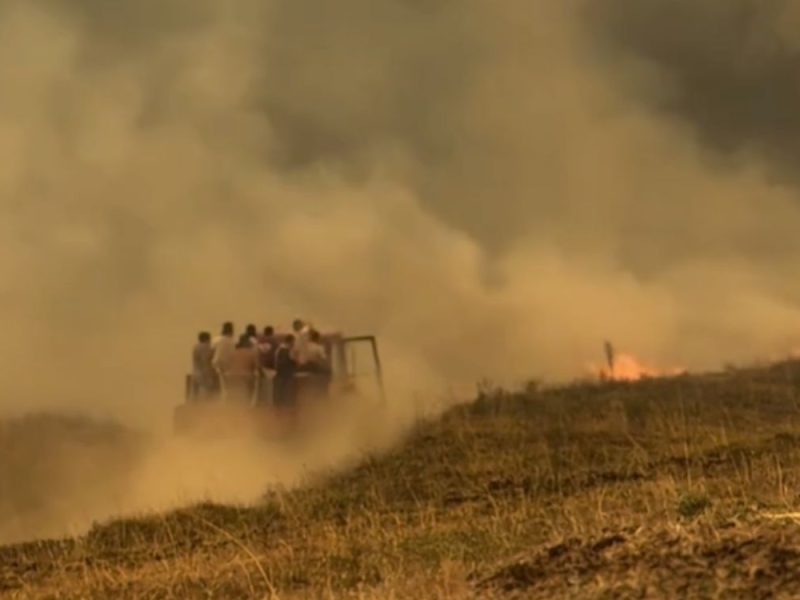 SRBIJA GORI, A VLAST SE ČEŠLJA: Vlada Srbije ne želi pomoć iz Evrope za gašenje požara, tvrdi da možemo sami!