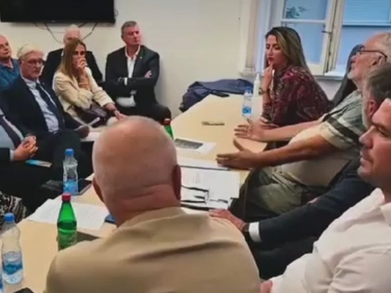 ISPLIVAO SNIMAK SASTANKA NESTOROVIĆEVOG POKRETA: Priznali da su od Andreja Vučića tražili pare i medije, a evo šta su obećali Vulinu! (VIDEO)