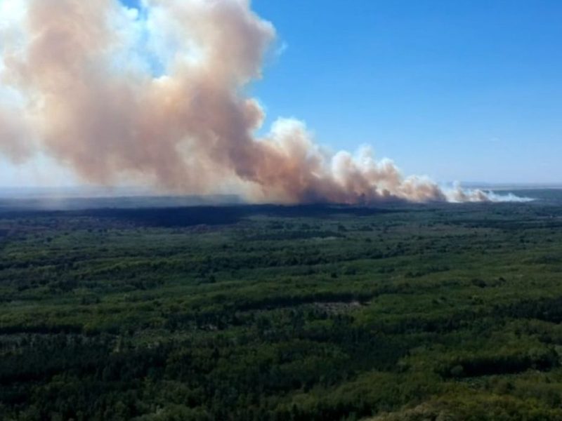 NOVI POŽAR U DELIBLATSKOJ PEŠČARI: Vatra zahvatila pojas koji do sada nije goreo, već se uključio ruski „Iljušin“! (VIDEO)