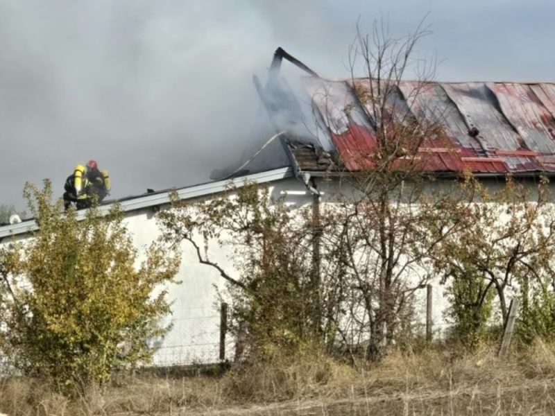 BUKNUO POŽAR U FABRICI PESTICIDA KOD BARAJEVA: Evakuisano 17 ljudi, uhapšen radnik koji je zapalio magacin!
