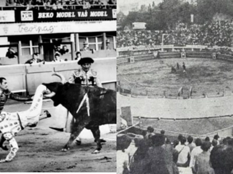 BIKOVI USRED BEOGRADA: Na današnji dan 1971. Tašmajdan postao arena za borbu s bikovima – jedan od njih završio kao večera u Skadarliji!