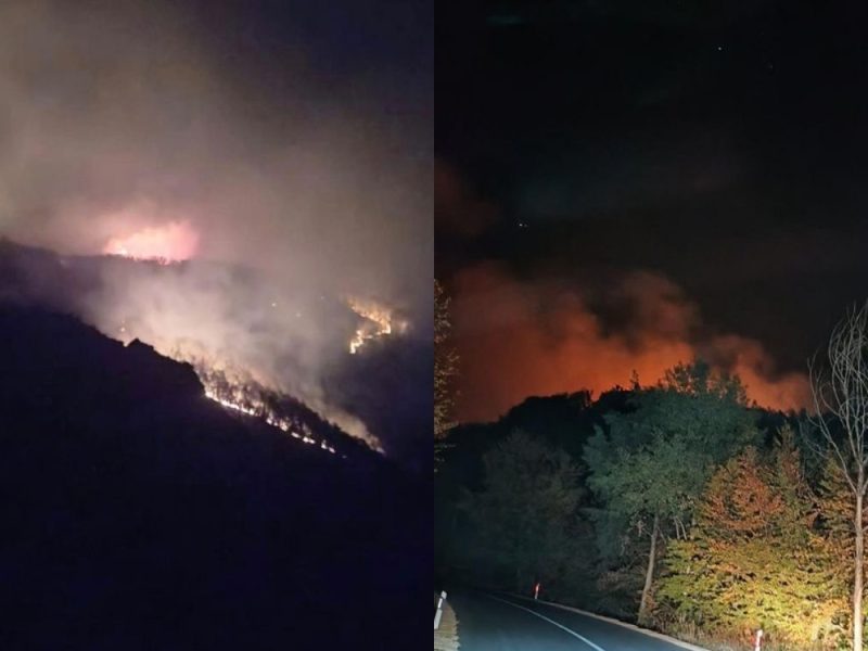 „VATRA SE ŠIRI, NE MOŽEMO DA JE ZAUSTAVIMO!“ Vapaj meštana Laznice: Požar preti da stigne do puta Majdanpek–Žagubica!